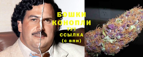 шишки Бронницы