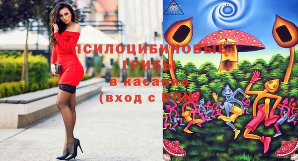 apvp Няндома