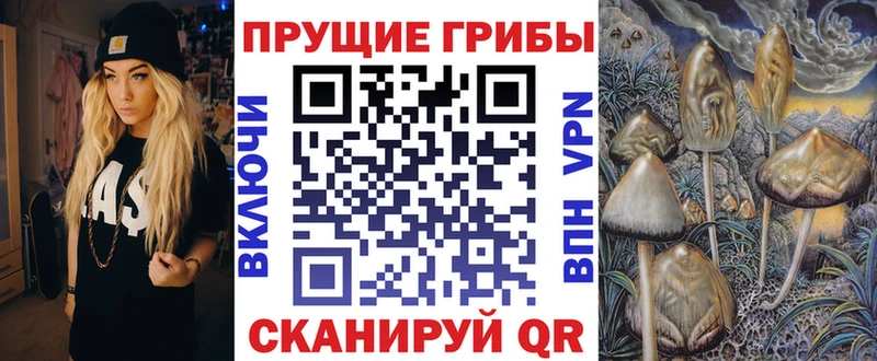 Псилоцибиновые грибы мухоморы  закладки  Осташков 